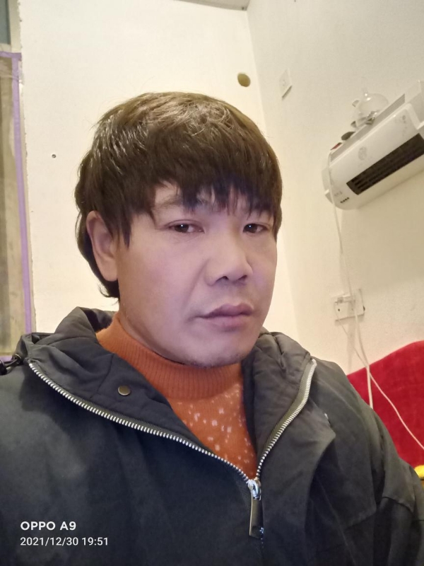 小鸟找窝的第一张照片--诏安相亲网